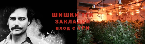 крисы Арсеньев