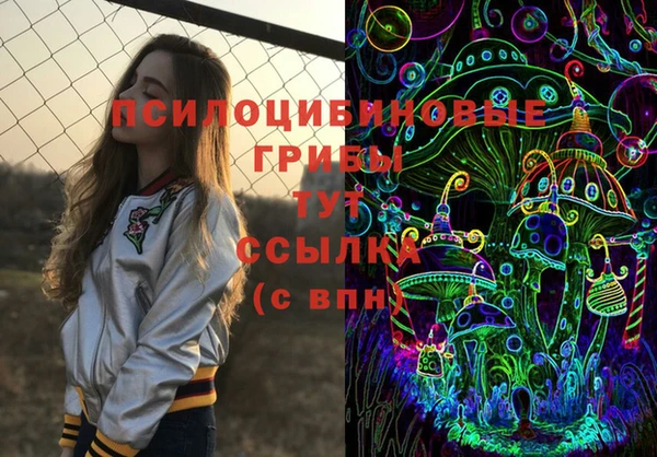 крисы Армянск