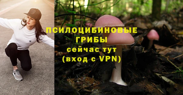крисы Арсеньев