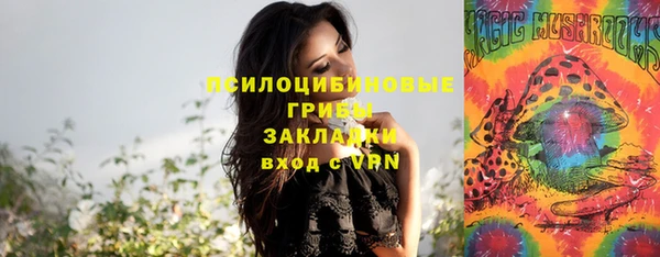 твердый Рославль