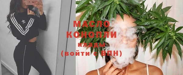 крисы Армянск
