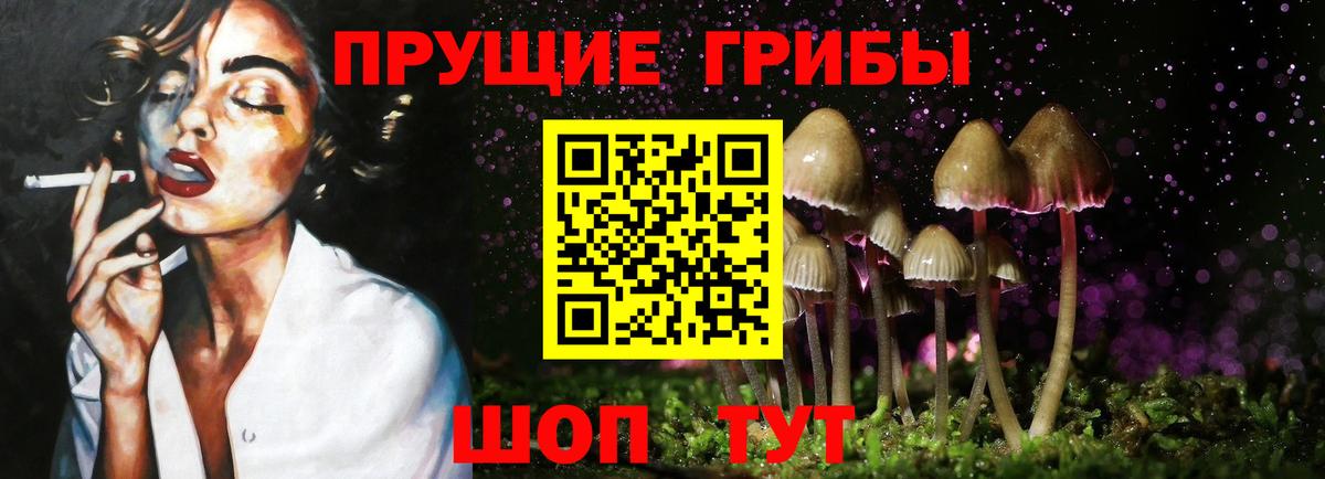 Псилоцибиновые грибы мицелий  Вход с VPN  сколько стоит  Кирово-Чепецк 